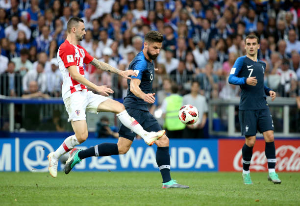 鹿通过专注 鹿通过专注